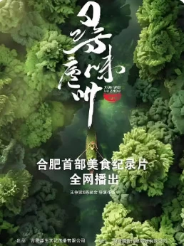 寻味庐州(2024)更至12.22期-百度网盘1080P高清免费纪录片剧资源 - 推影坊-推影坊