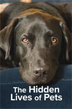 宠物的秘密生活（2022）百度网盘资源-已完结-推影坊