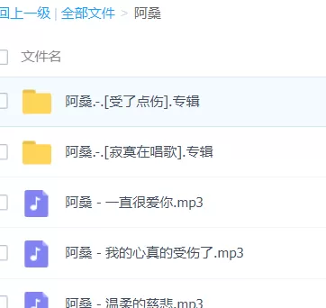 「阿桑」歌曲大全-音乐合集百度网盘资源-推影坊