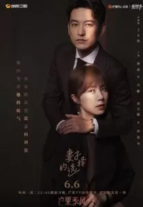 妻子的选择（2022）百度网盘资源-已完结-推影坊