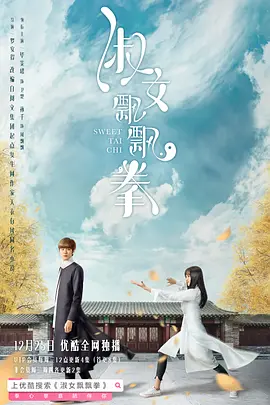 淑女飘飘拳 (2019)百度网盘资源-电视剧全24集-推影坊