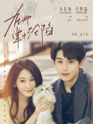 短剧《在她掌中沦陷》（50集）全集免费看-推影坊