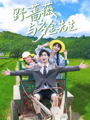 短剧《野蔷薇与多金先生》（63集）全集完整版-推影坊