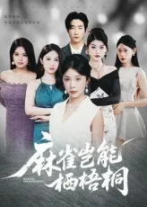 短剧《麻雀岂能栖梧桐》（31集）1-100集完整版-推影坊