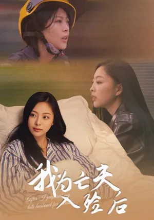 短剧《我为亡夫入殓后》（45集）免费观看全集 - 推影坊-推影坊