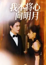 短剧《我本将心向明月》（74集）全集完整版 - 推影坊-推影坊