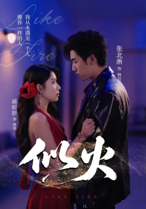 短剧《似火》（80集）全集免费看 - 推影坊-推影坊