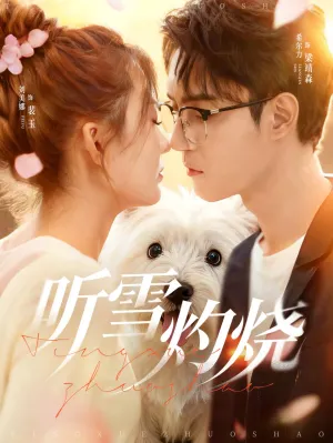 短剧《听雪灼烧》(68集)短剧全集夸克下载