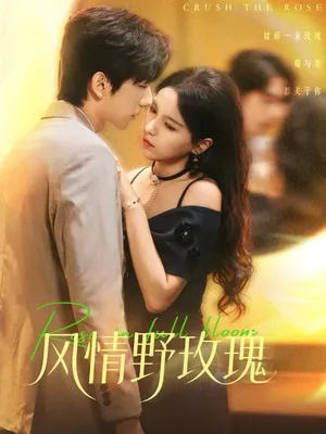 短剧《风情野玫瑰》（70集）全集免费看-推影坊