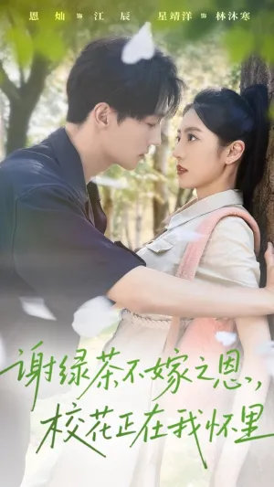 短剧《谢绿茶不嫁之恩校花正在我怀里》（56集）全集在线观看 - 推影坊-推影坊