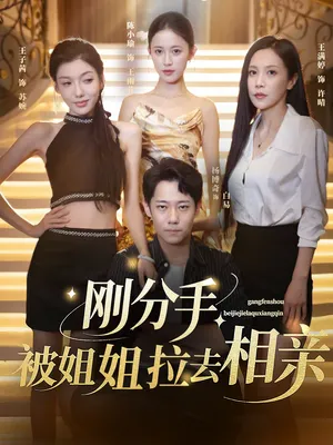 短剧《刚分手被姐姐拉去相亲》（73集）短剧2025-推影坊