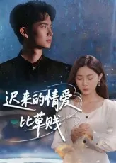 短剧《迟来的情爱比草贱》（46集）网剧无删减-推影坊