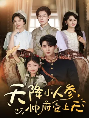 短剧《天降小人参，帅府宠上天》（83集）短剧夸克在线看-推影坊