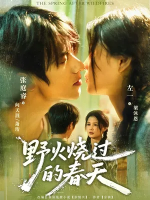 短剧《野火烧过的春天》（85集）网剧无删减-推影坊