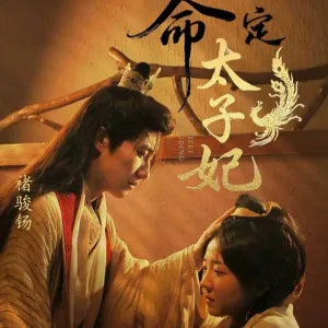 短剧《命定太子妃》（63集）全集在线观看-推影坊