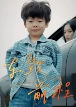 短剧《车毁前程》（30集）在线观看-推影坊