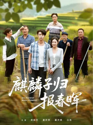 短剧《麒麟子归报春晖》（36集）全集完整版-推影坊