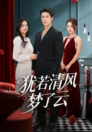 短剧《犹若清风梦了云》（66集）短剧夸克在线看-推影坊