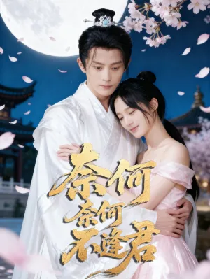 短剧《奈何奈何不逢君》（57集）完整版免费观看-推影坊