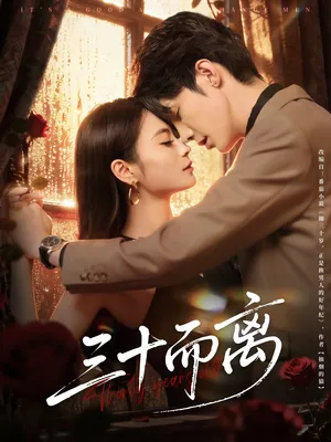 短剧《三十而离》（81集）短剧2025-推影坊