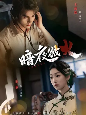 短剧《暗夜微火》（80集）在线观看 - 推影坊-推影坊