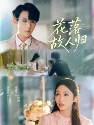 短剧《花落故人归》（66集）网剧无删减-推影坊