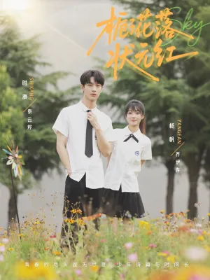 短剧《栀子花落状元红》（50集）免费看短剧-推影坊