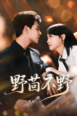 短剧《野茴不野》（67集）无删减完整版短剧-推影坊