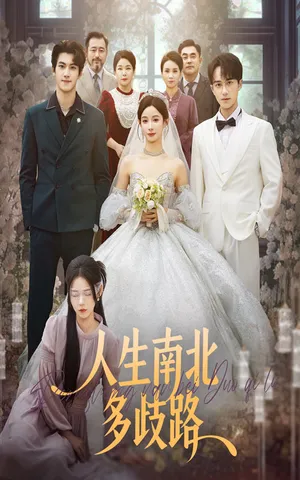 短剧《人生南北多歧路》（45集）短剧免费观看-推影坊