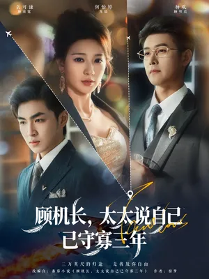 短剧《顾机长，太太说自己已守寡三年》（80集）免费看短剧-推影坊