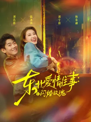 短剧《东北爱情往事闪婚玫瑰》（89集）短剧夸克网盘下载-推影坊