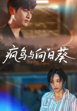 短剧《疯鸟与向日葵》（40集）无删减在线观看-推影坊