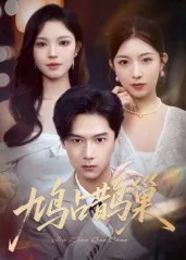 短剧《鸠占鹊巢》（70集）短剧免费资源 - 推影坊-推影坊