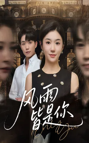 短剧《风雨皆是你》（64集）短剧全集免费收看-推影坊