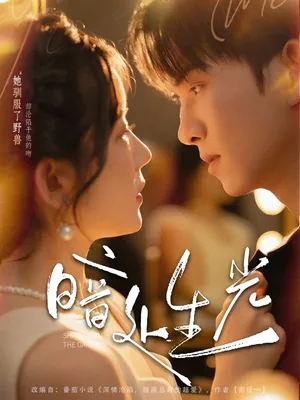 短剧《暗处生光》（82集）全集免费播放 - 推影坊-推影坊