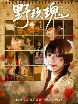 短剧《野玫瑰》（82集）免费观看完整版-推影坊