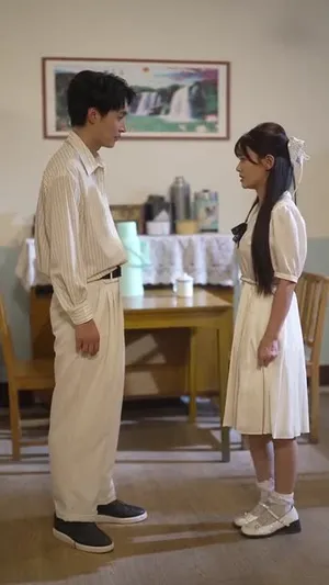 短剧《乡野医美》（80集）全集完整版 - 推影坊-推影坊