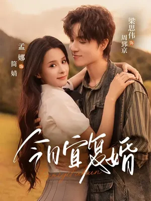 短剧《今日宜复婚》（63集）免费看短剧-推影坊