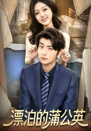 短剧《漂泊的蒲公英》（60集）短剧全集夸克下载 - 推影坊-推影坊