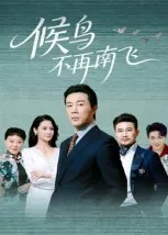 短剧《候鸟不再南飞》（80集）无删减在线观看-推影坊