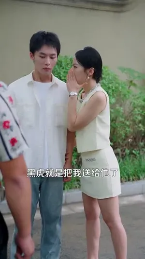 短剧《都市一品傻婿》（96集）短剧全集免费收看-推影坊