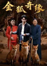 短剧《金狐奇缘》（42集）在线观看-推影坊