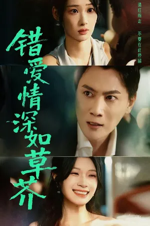 短剧《错爱情深如草芥》（46集）在线观看-推影坊