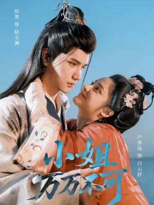 短剧《小姐万万不可》（74集）全集在线观看-推影坊