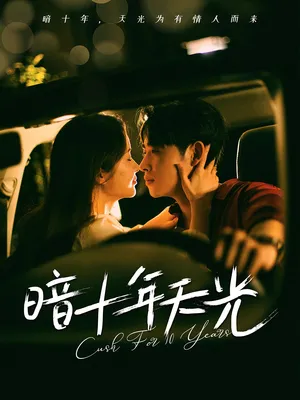 短剧《暗十年天光》(81集)短剧全集免费收看