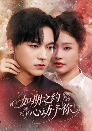 短剧《如期之约心动予你》（82集）夸克网盘下载-推影坊