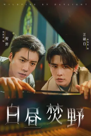 短剧《白昼焚野》（70集）1-100集完整版-推影坊