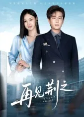 短剧《再见荆之》（60集）在线观看-推影坊