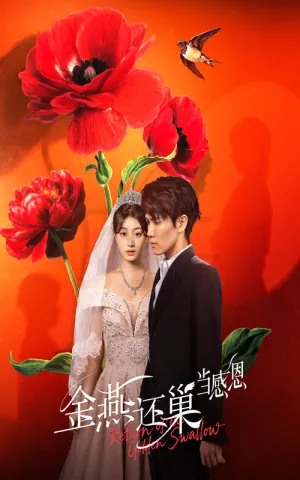 短剧《金燕还巢当感恩》（55集）免费观看 - 推影坊-推影坊