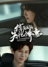 短剧《傅先生的失忆娇妻》（50集）短剧在线观看免费完整版 - 推影坊-推影坊